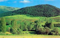 Refahiye Dumanlı Yaylaları