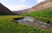 Yaylalarımız